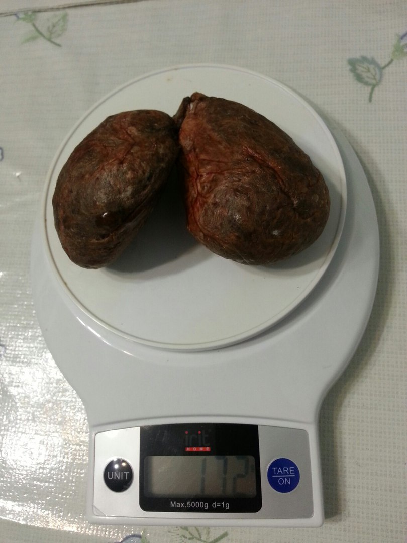Бобровая струя - Image 3